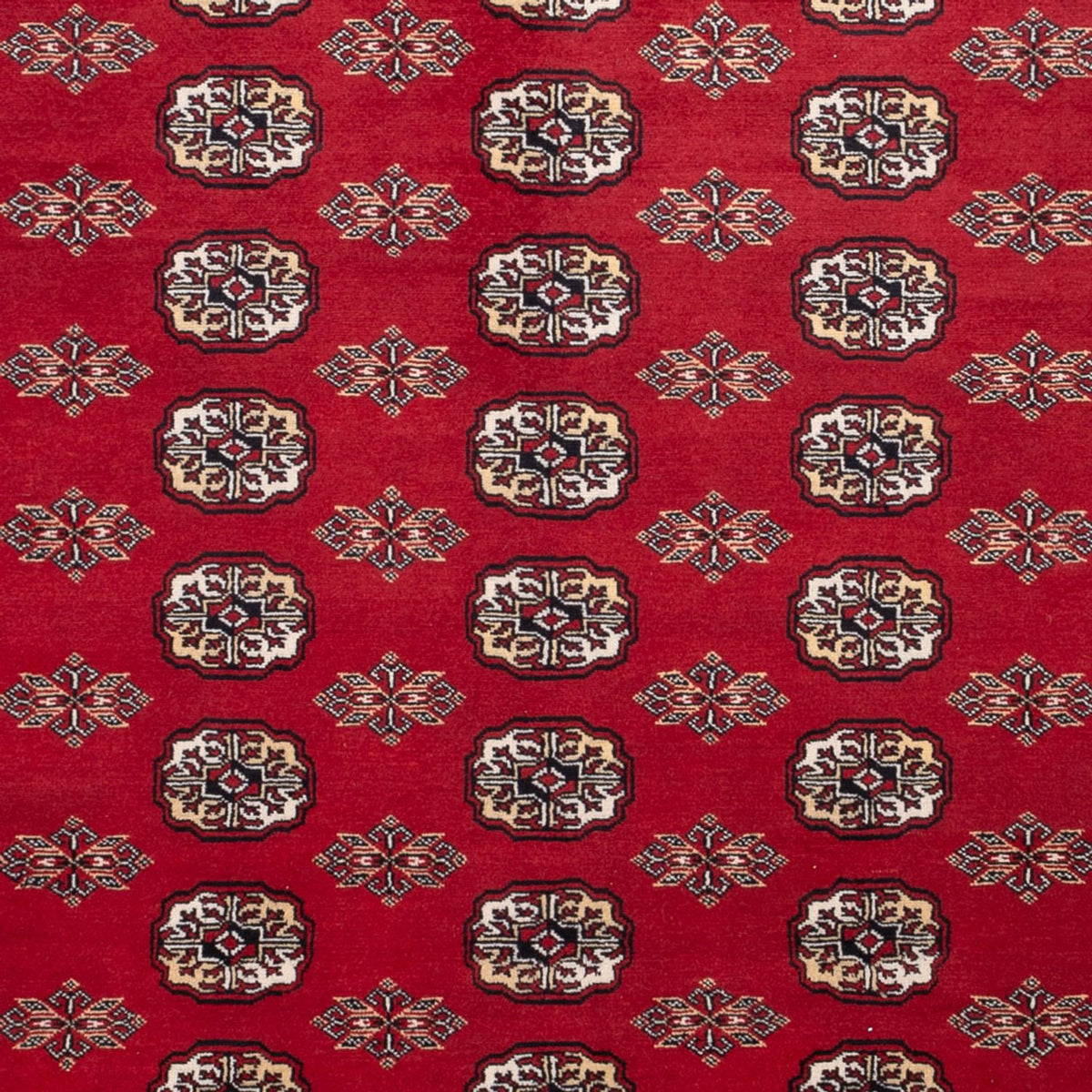Afghan Rug - Bukhara - 301 x 245 cm - red