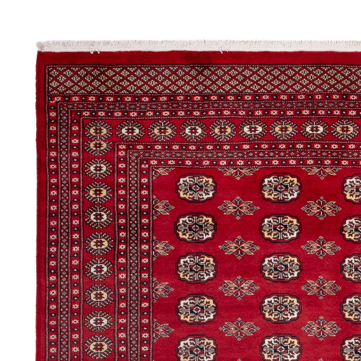 Afghan Rug - Bukhara - 301 x 245 cm - red