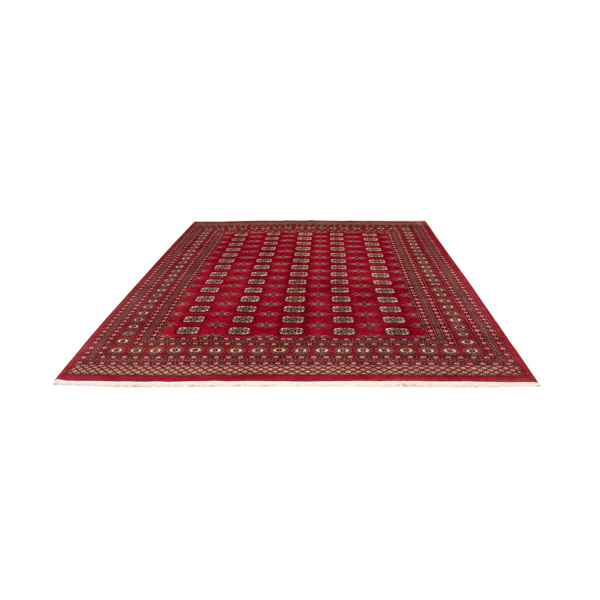 Afghan Rug - Bukhara - 301 x 245 cm - red