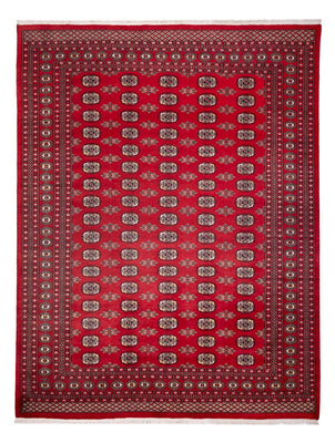 Afghan Rug - Bukhara - 314 x 243 cm - red