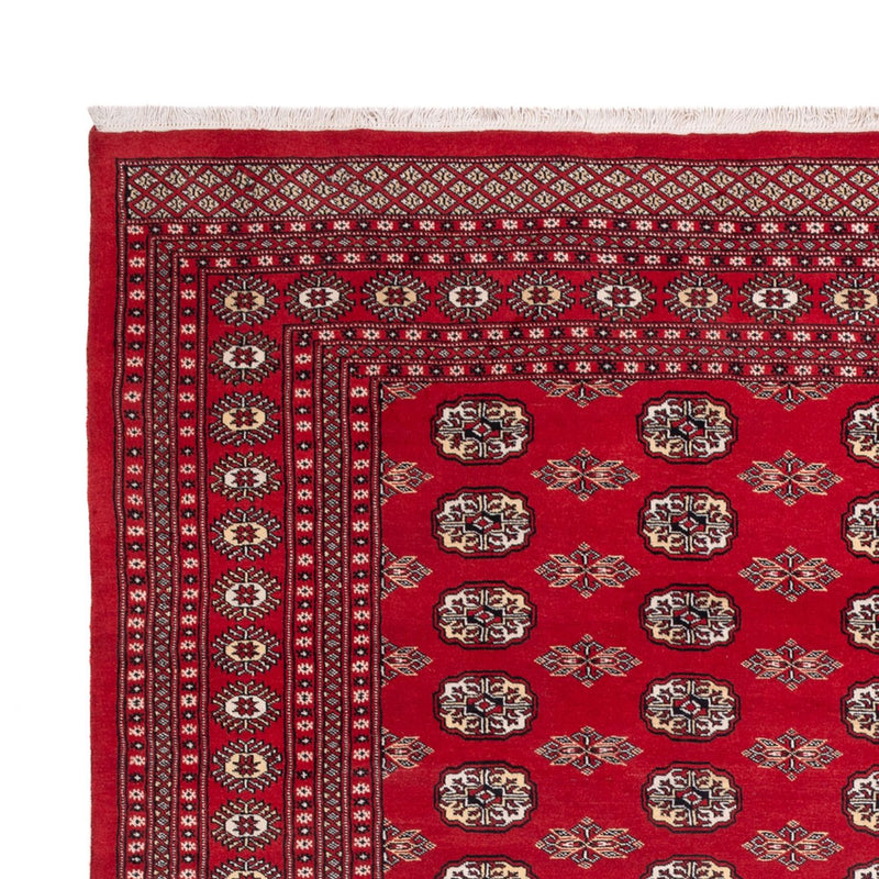 Afghan Rug - Bukhara - 314 x 243 cm - red