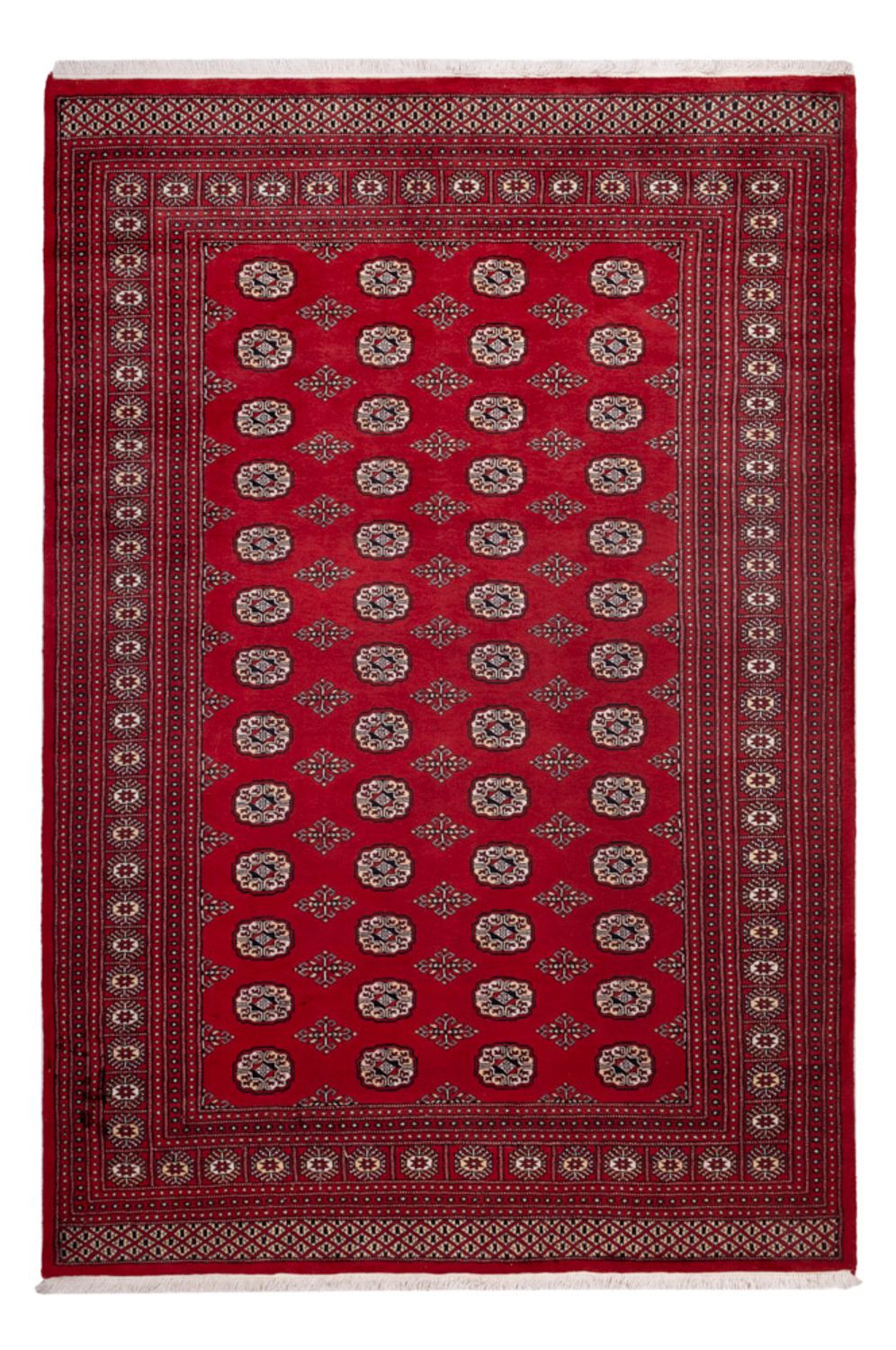 Afghan Rug - Bukhara - 290 x 200 cm - red