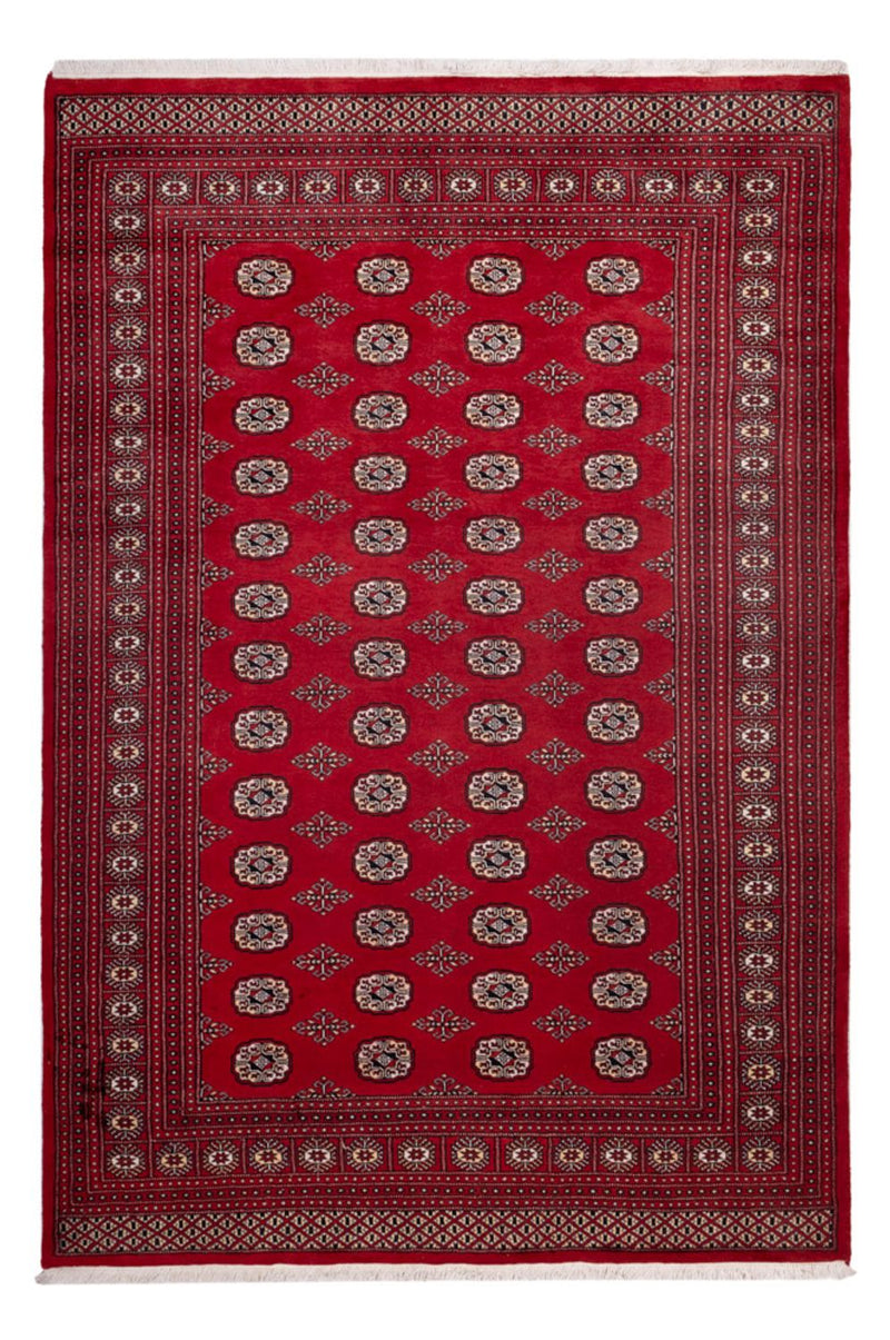 Afghan Rug - Bukhara - 290 x 200 cm - red