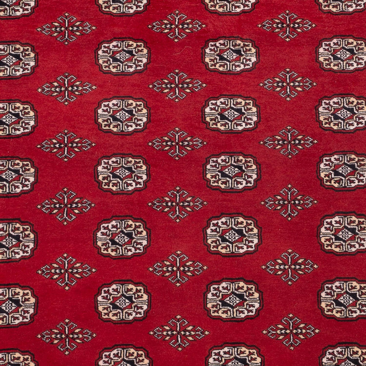 Afghan Rug - Bukhara - 290 x 200 cm - red
