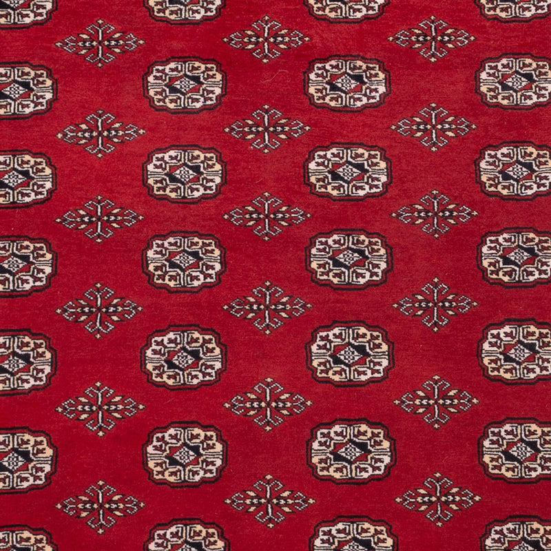 Afghan Rug - Bukhara - 290 x 200 cm - red