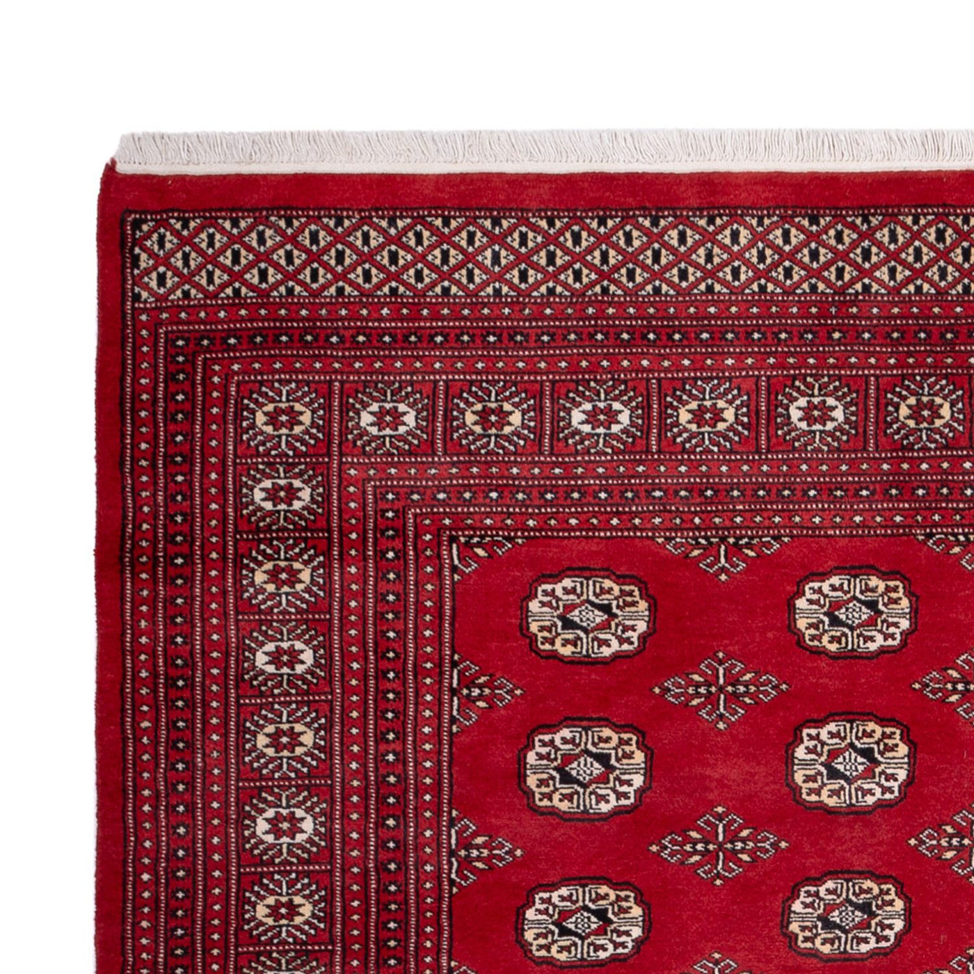 Bukhara Rug 290x200cm - Oriental Rug