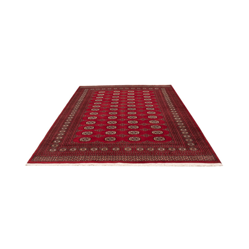 Afghan Rug - Bukhara - 290 x 200 cm - red