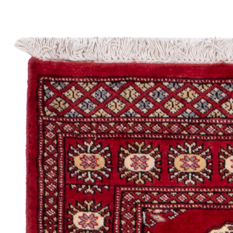 Runner Pakistani Rug - 246 x 77 cm - red