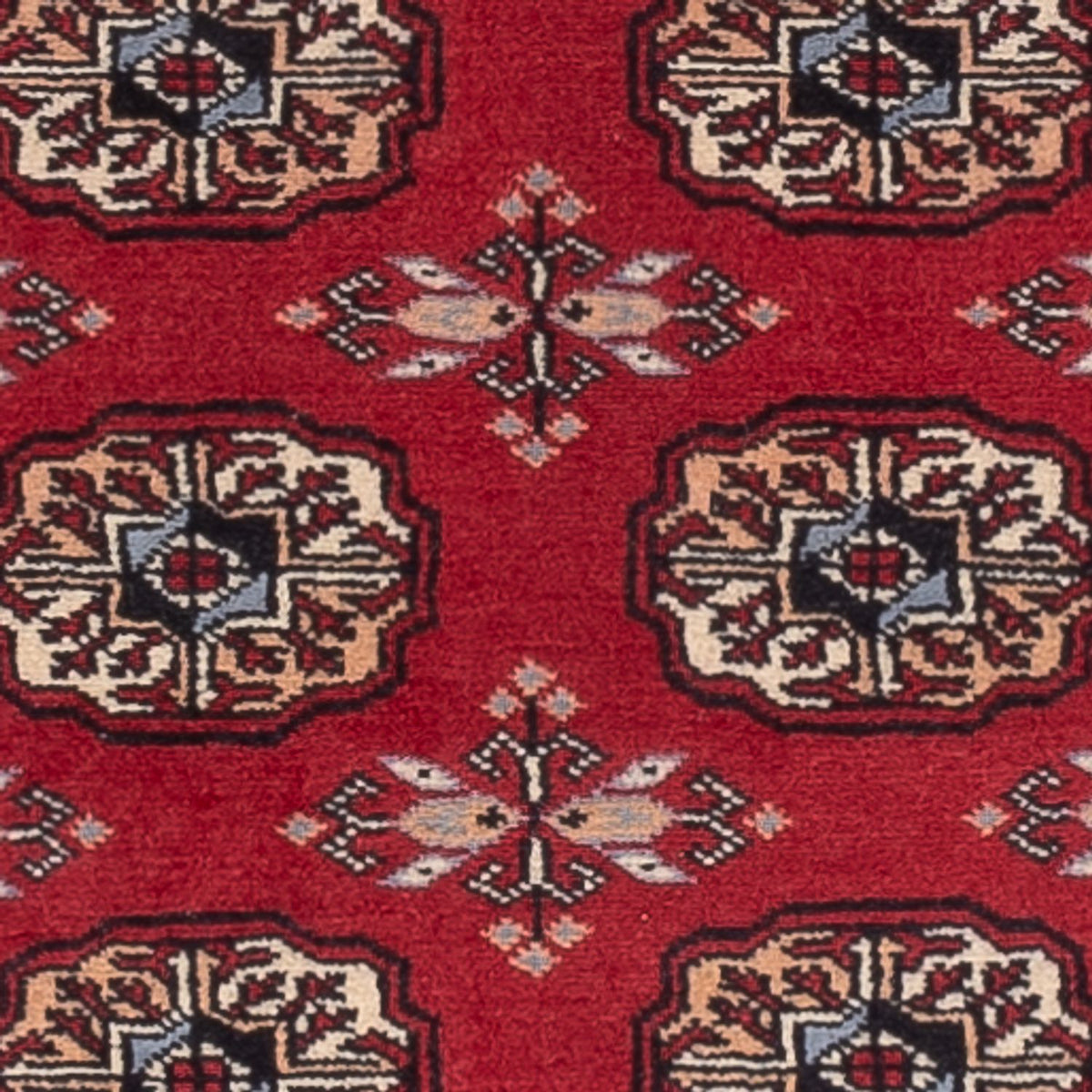 Runner Pakistani Rug - 224 x 80 cm - red