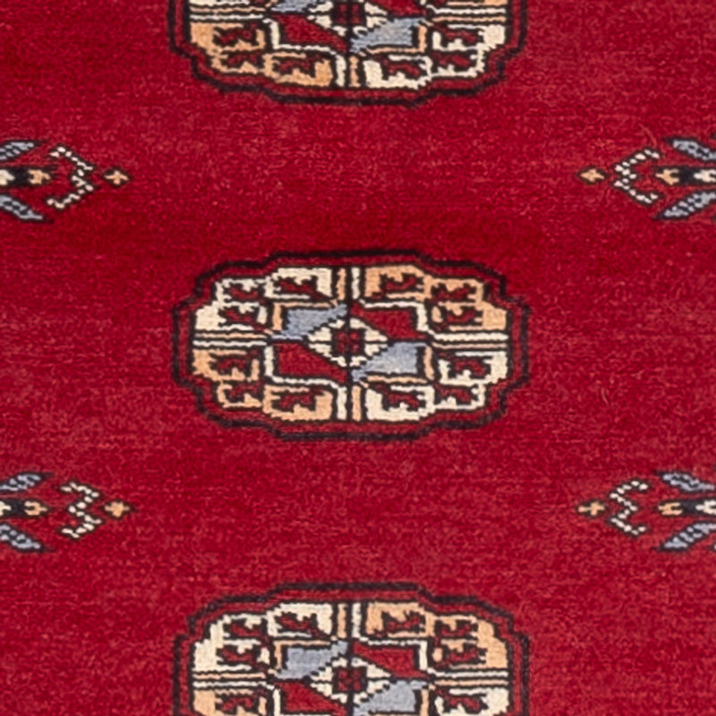 Runner Pakistani Rug - 239 x 79 cm - red