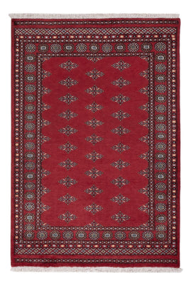 Pakistani Rug - 203 x 137 cm - red