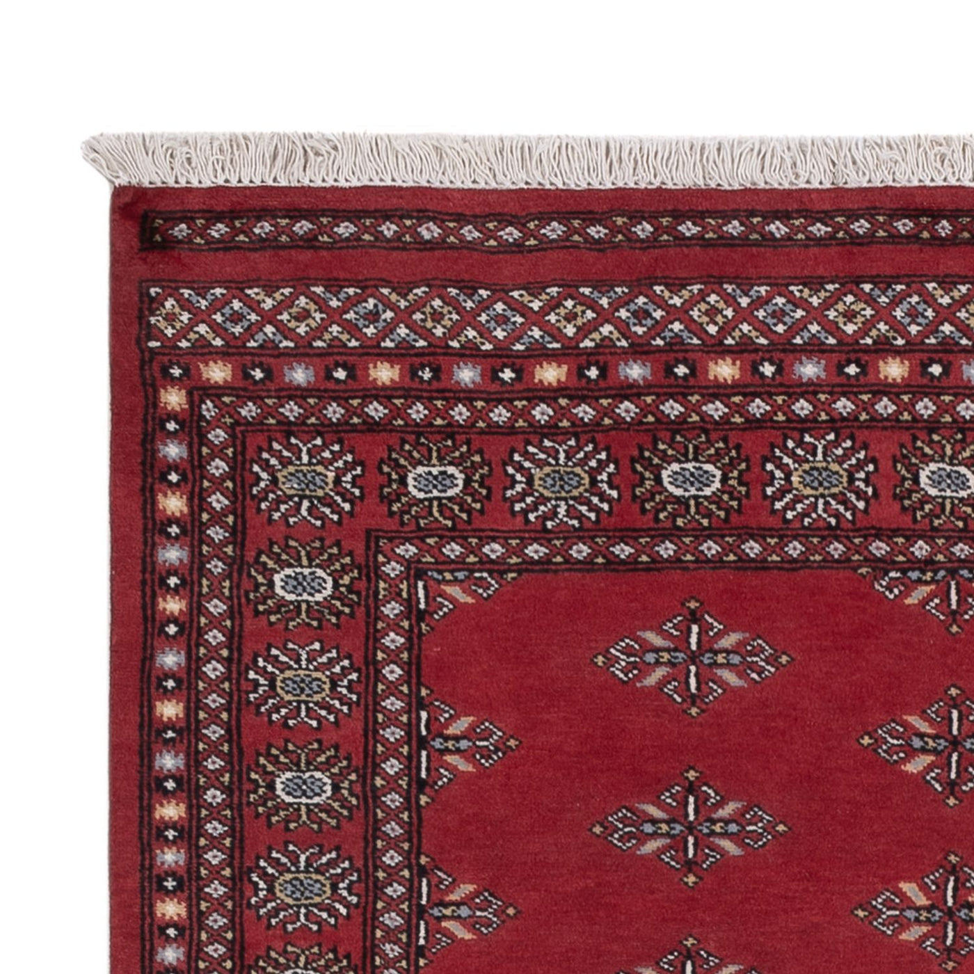 Pakistani Rug 203x137cm - Oriental Rug