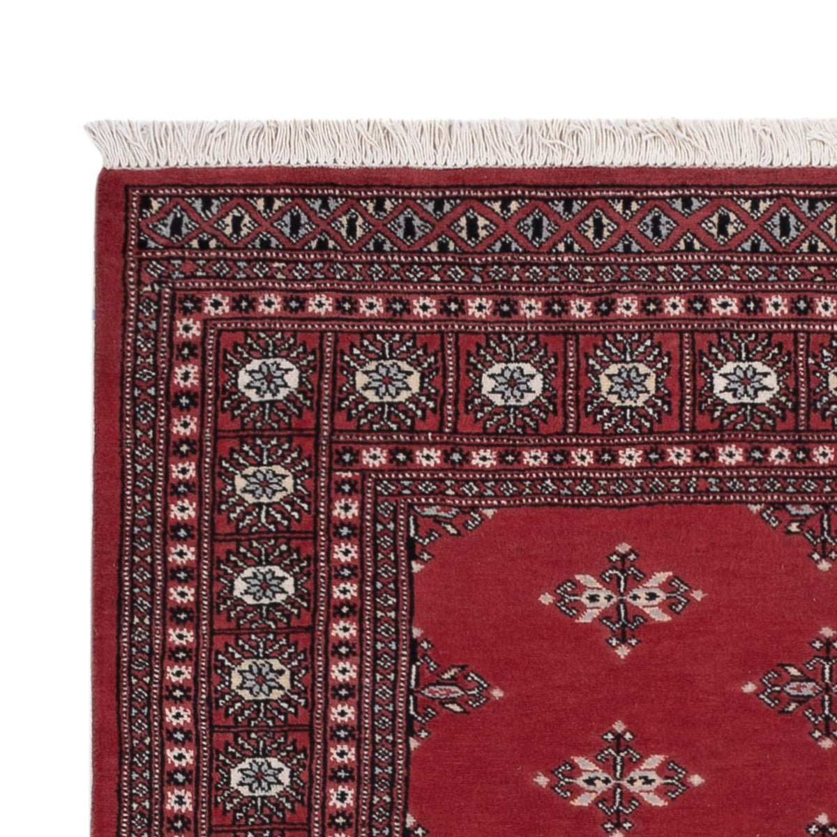 Pakistani Rug - 199 x 140 cm - red