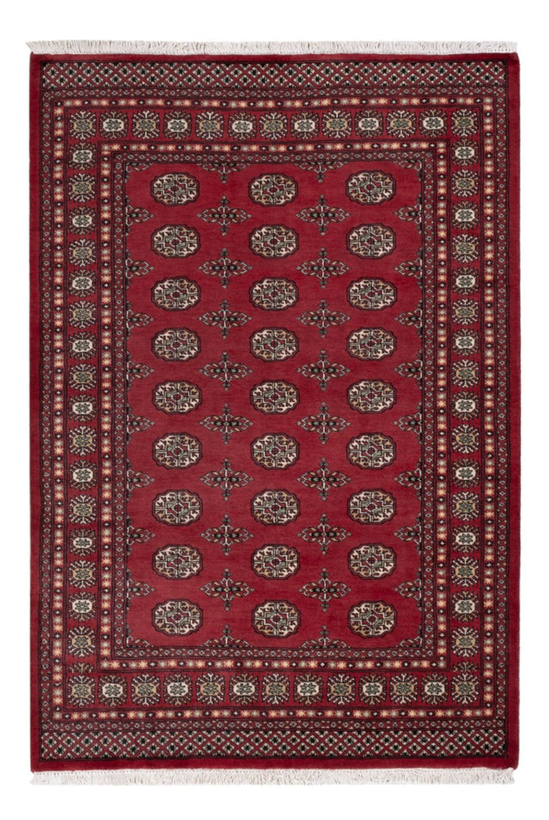 Pakistani Rug - 204 x 141 cm - red