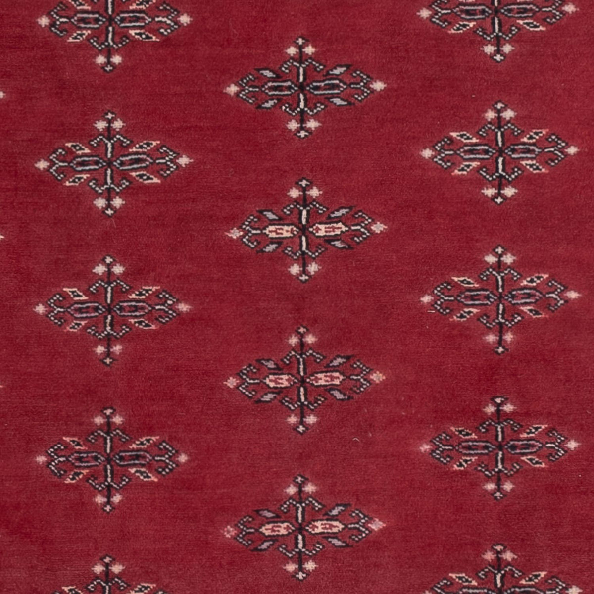 Pakistani Rug - 195 x 140 cm - red
