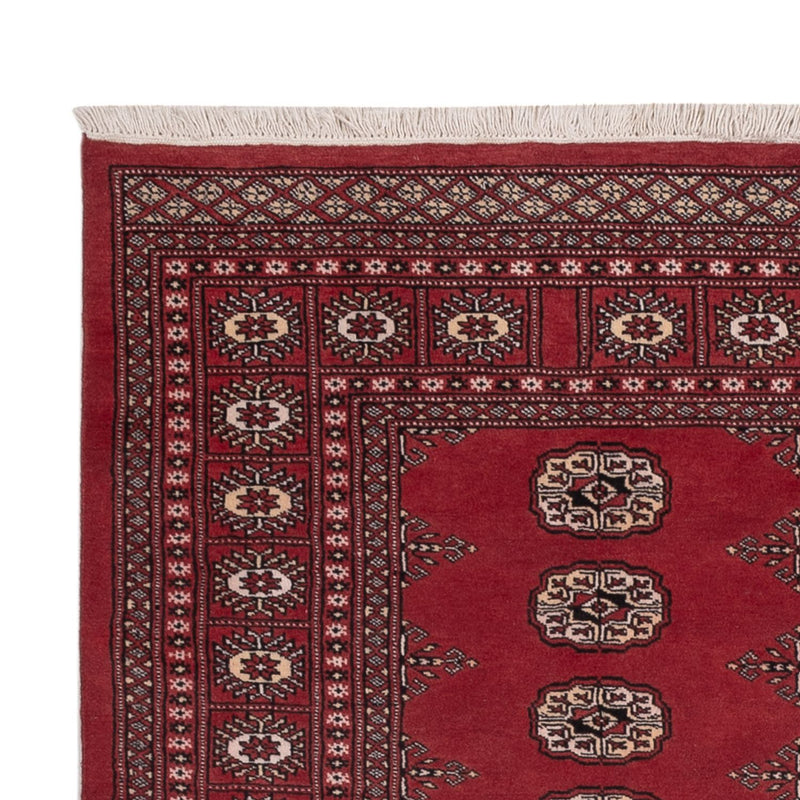 Pakistani Rug - 185 x 138 cm - red