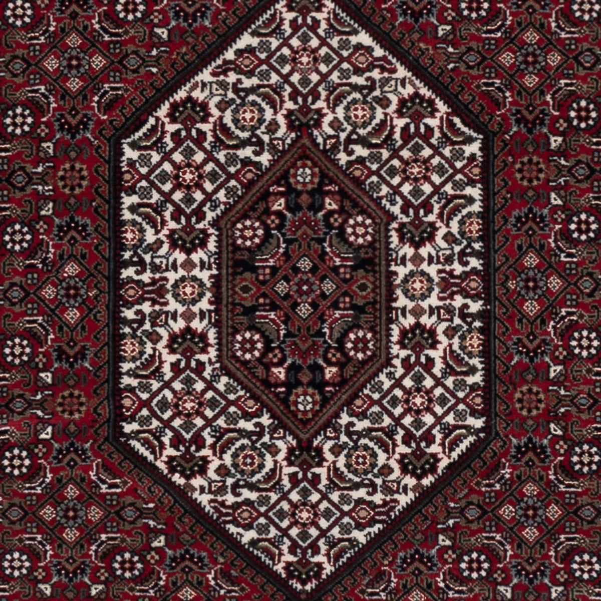 Oriental Rug - Bidjar - Indus - 204 x 145 cm - dark brown