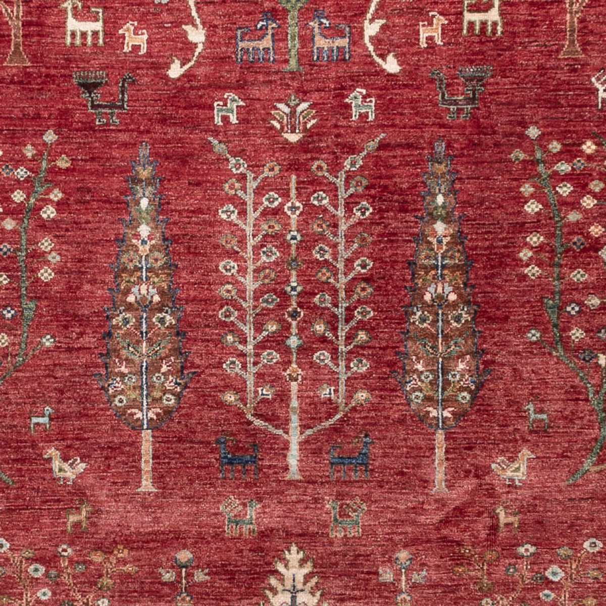 Ziegler Rug - Ariana - 301 x 210 cm - red
