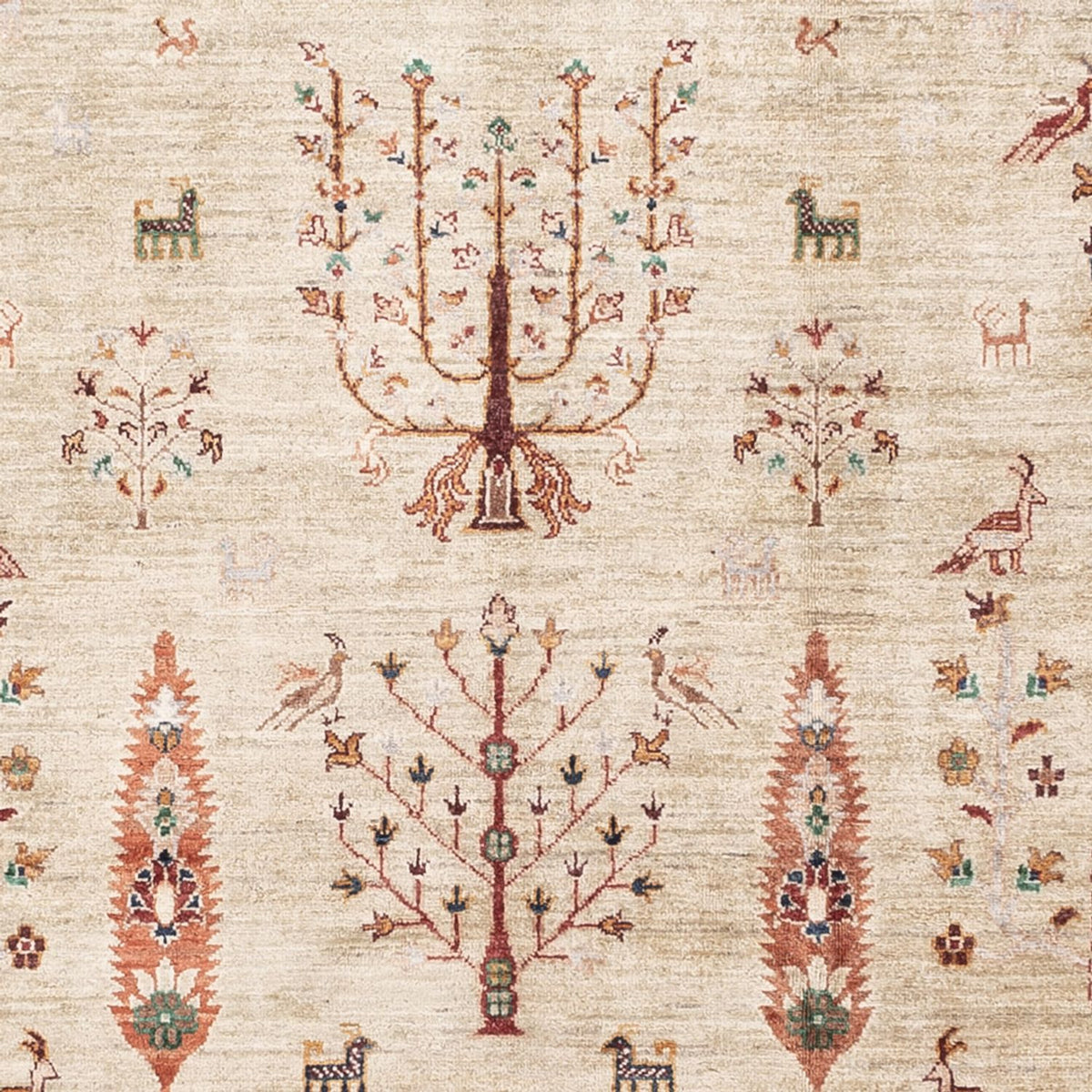 Ziegler Rug - Ariana - 305 x 207 cm - beige
