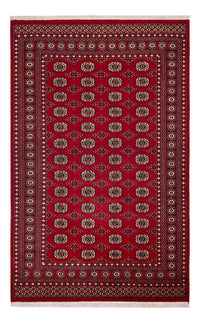 Pakistani Rug - 256 x 167 cm - red