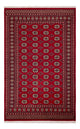 Pakistani Rug 256x167cm - Oriental Rug