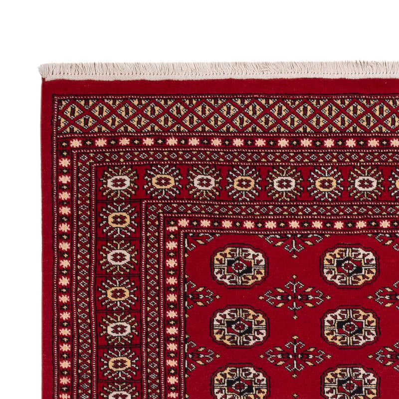 Pakistani Rug - 256 x 167 cm - red