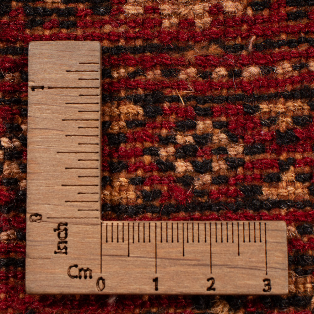 Pakistani Rug - 256 x 167 cm - red