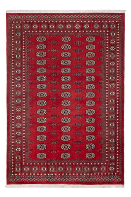 Pakistani Rug - 243 x 168 cm - red