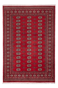 Pakistani Rug - 243 x 168 cm - red