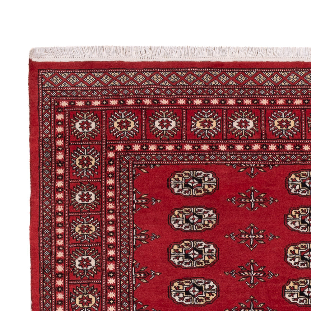 Pakistani Rug - 243 x 168 cm - red