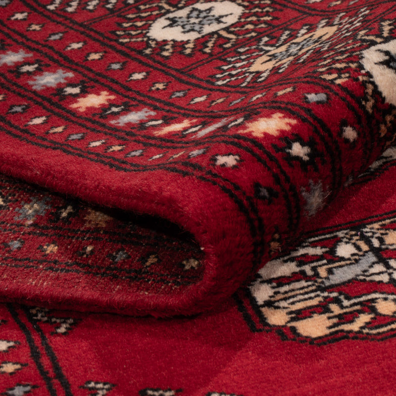 Pakistani Rug - 241 x 154 cm - red