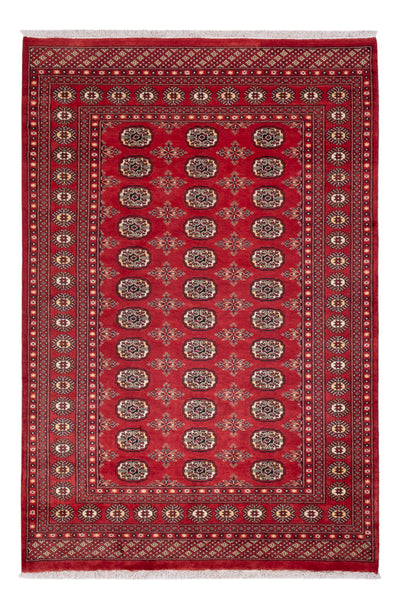 Pakistani Rug 158x237cm - Oriental Rug