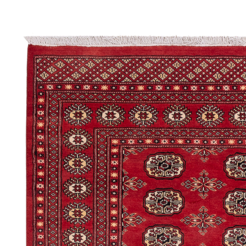 Pakistani Rug - 237 x 158 cm - red