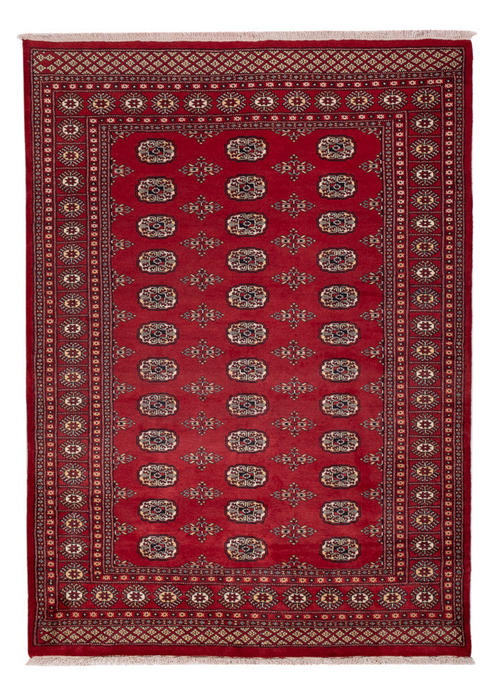 Pakistani Rug - 240 x 171 cm - red