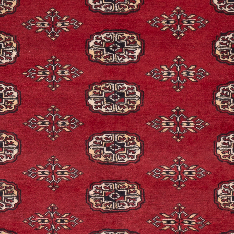 Pakistani Rug - 240 x 171 cm - red