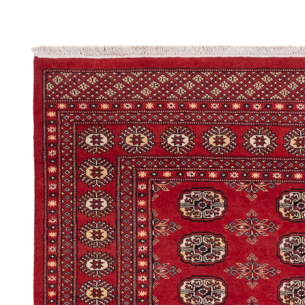 Pakistan Teppich 250x159cm - Orientteppich