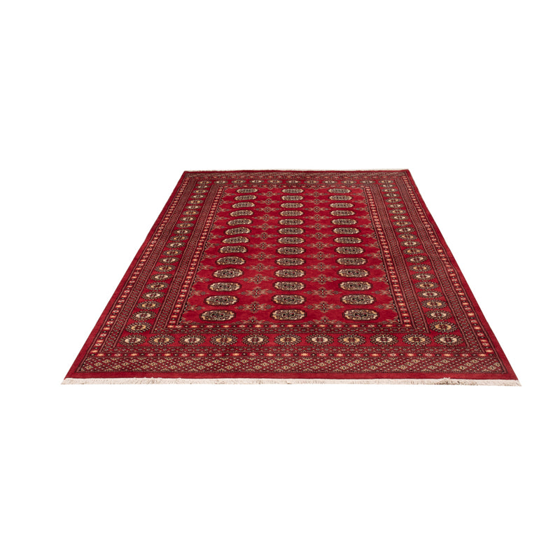 Pakistani Rug - 250 x 159 cm - red