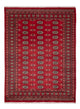 Pakistan Teppich 231x172cm - Orientteppich