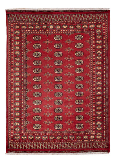 Pakistani Rug 173x241cm - Oriental Rug