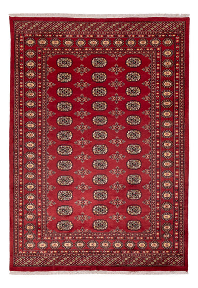 Pakistani Rug 170x245cm - Oriental Rug