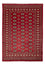 Pakistani Rug - 245 x 170 cm - red
