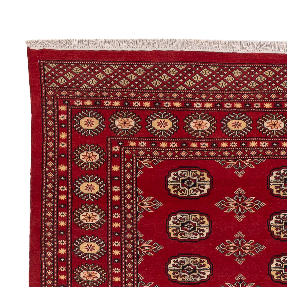Pakistani Rug 245x170cm - Oriental Rug