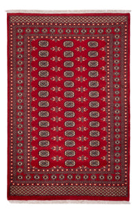 Pakistani Rug - 258 x 179 cm - red