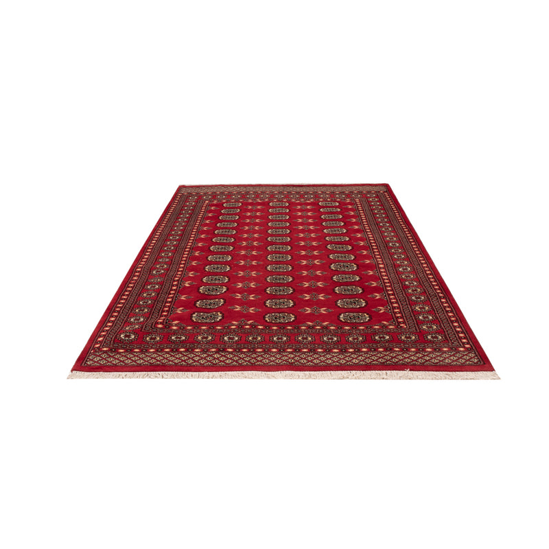 Pakistani Rug - 258 x 179 cm - red