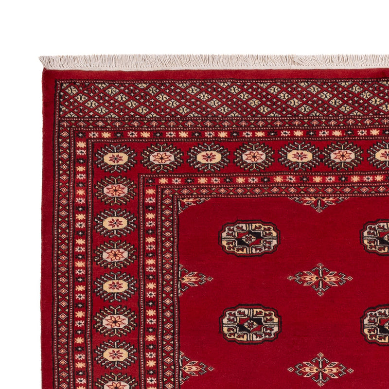 Pakistani Rug - 236 x 171 cm - red