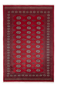 Pakistani Rug - 249 x 167 cm - red