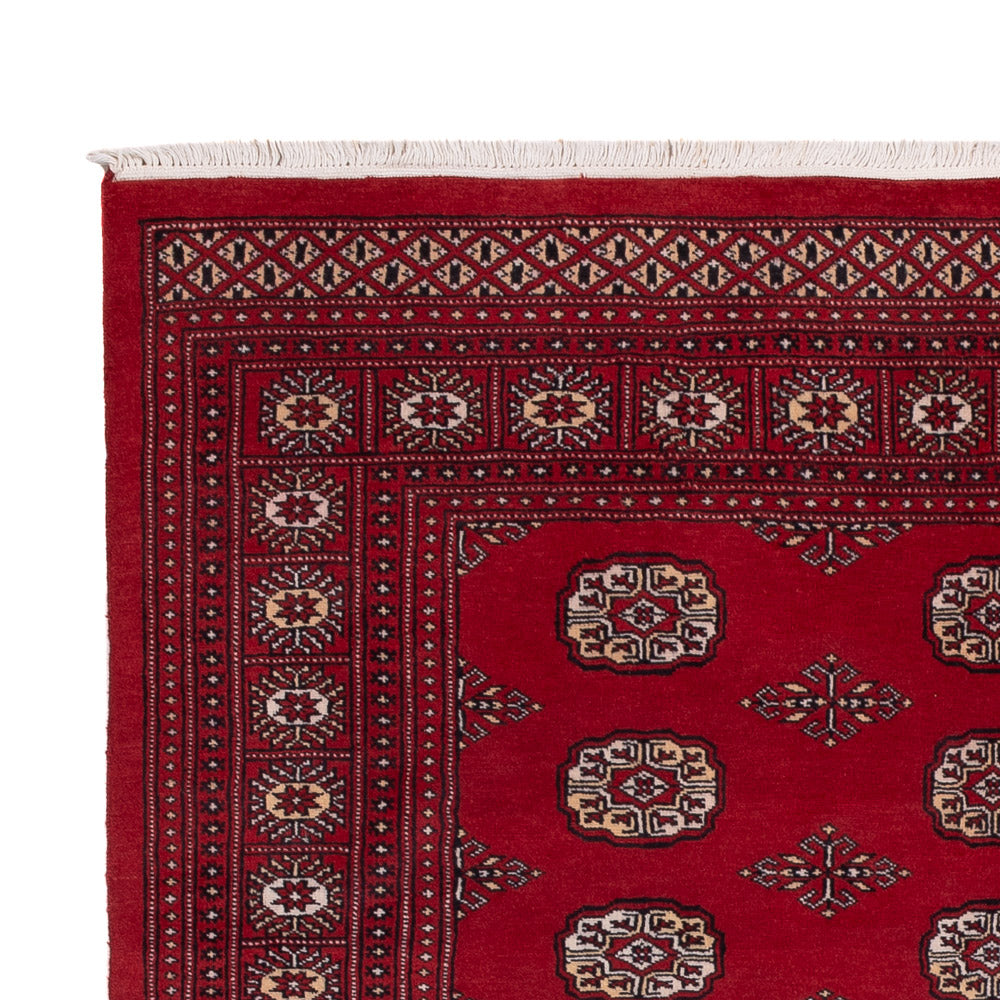 Pakistani Rug 249x167cm - Oriental Rug