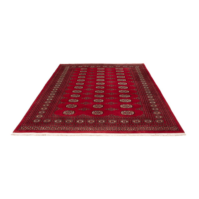 Pakistani Rug - 249 x 167 cm - red