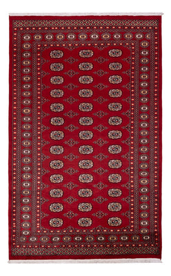 Pakistani Rug - 266 x 167 cm - red