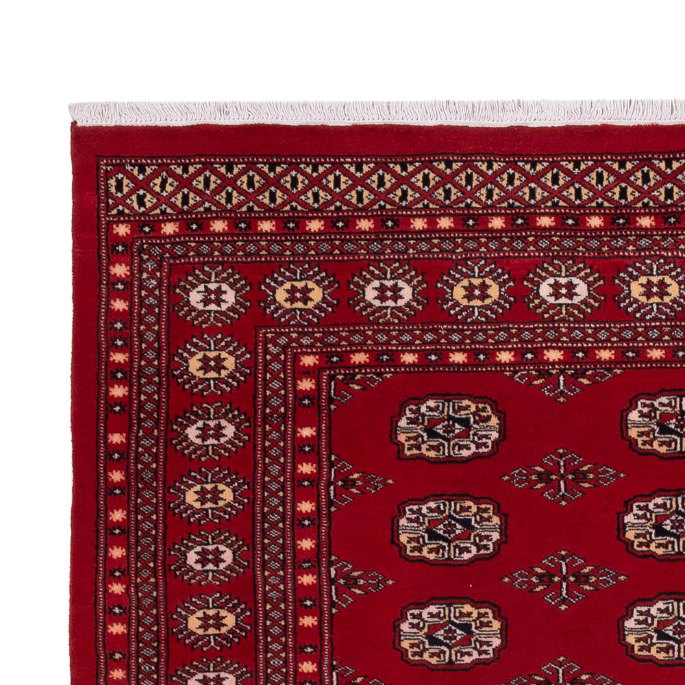 Pakistani Rug - 266 x 167 cm - red